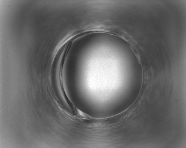 X0000081600344200701291407