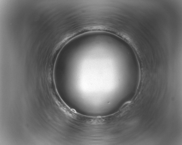 X0000081600345200701291407