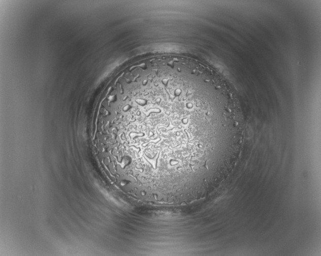 X0000081600347200701291407