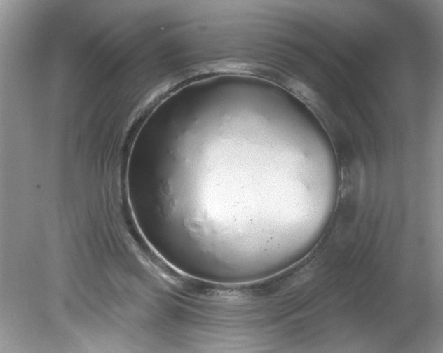 X0000081600349200701291407