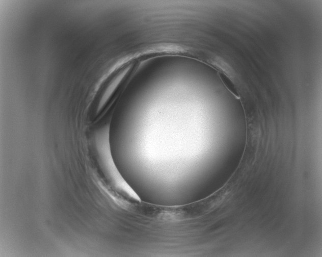 X0000081600350200701291407