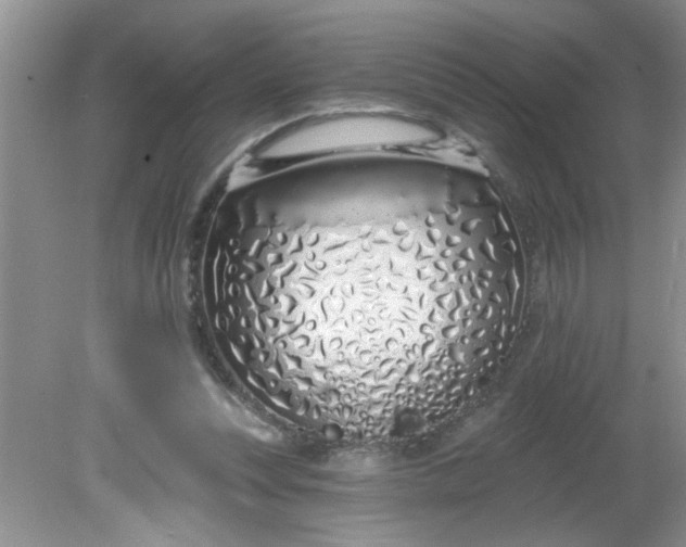 X0000081600351200701291407