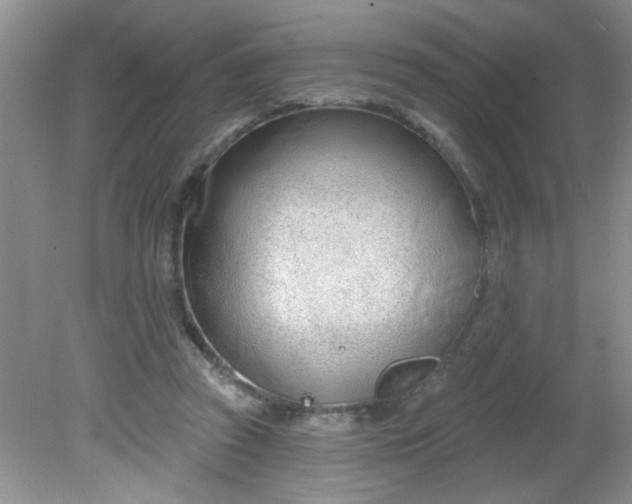 X0000081600353200701291407