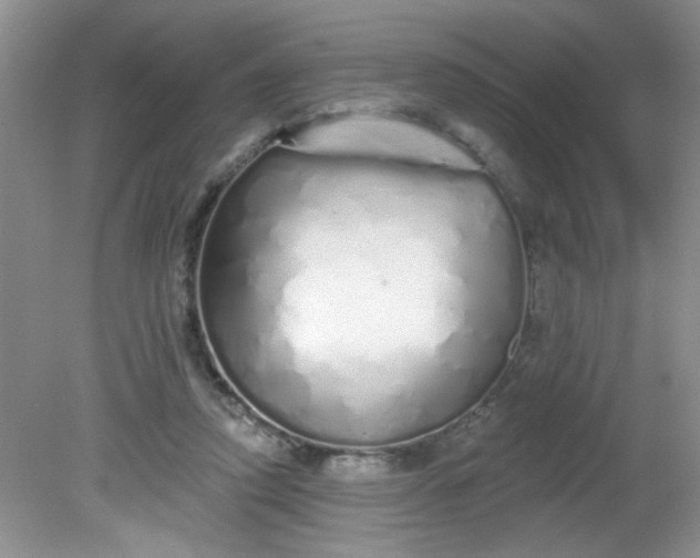 X0000081600354200701291407