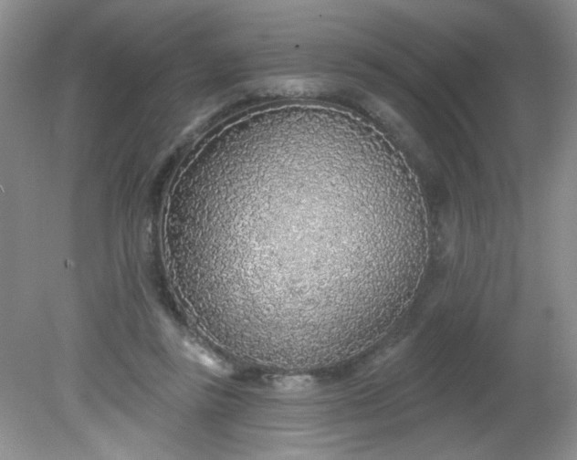 X0000081600355200701291407