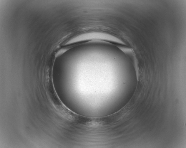 X0000081600356200701291407