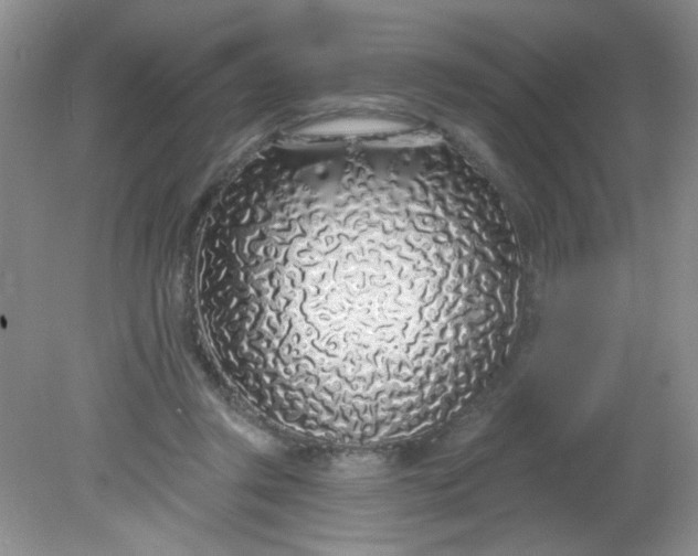 X0000081600357200701291407