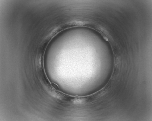 X0000081600358200701291407