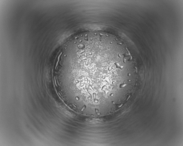 X0000081600359200701291407