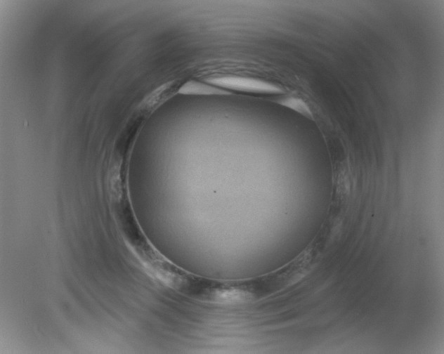 X0000081600360200701291407