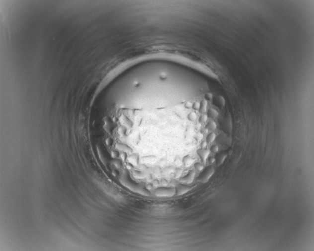 X0000081600361200701291407