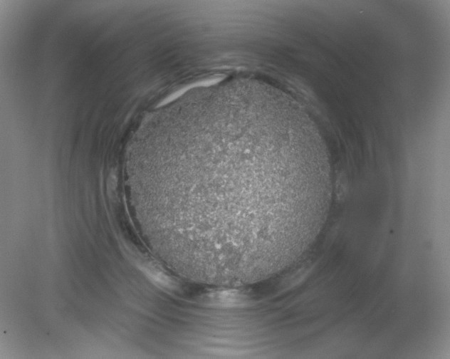 X0000081600365200701291407