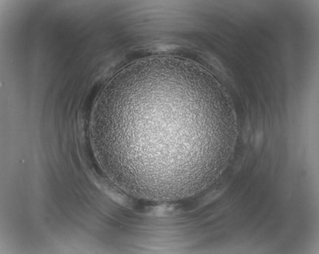 X0000081600366200701291407