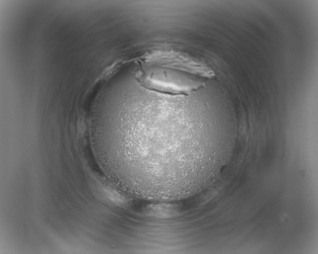 X0000081600367200701291407