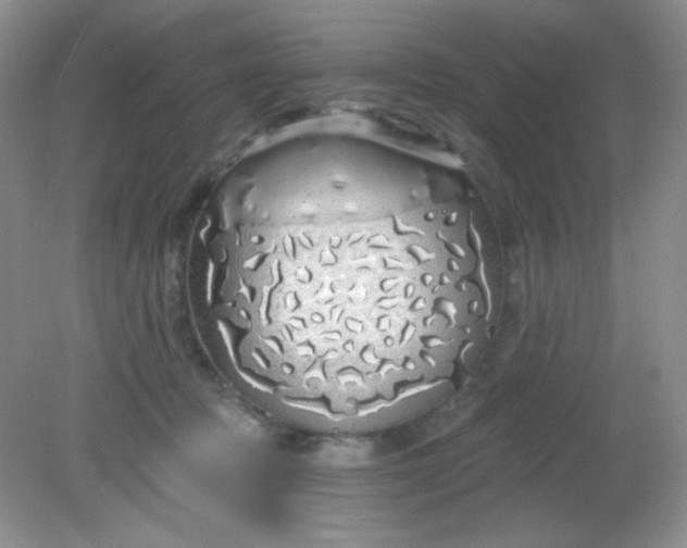 X0000081600369200701291407