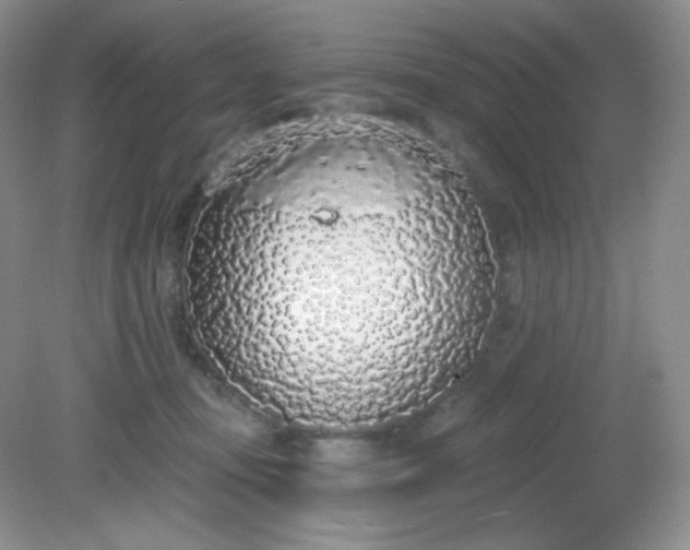 X0000081600371200701291407