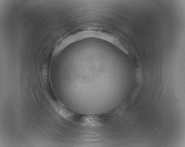 X0000081600372200701291407