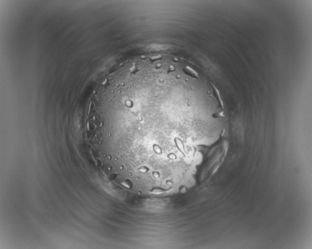 X0000081600373200701291407