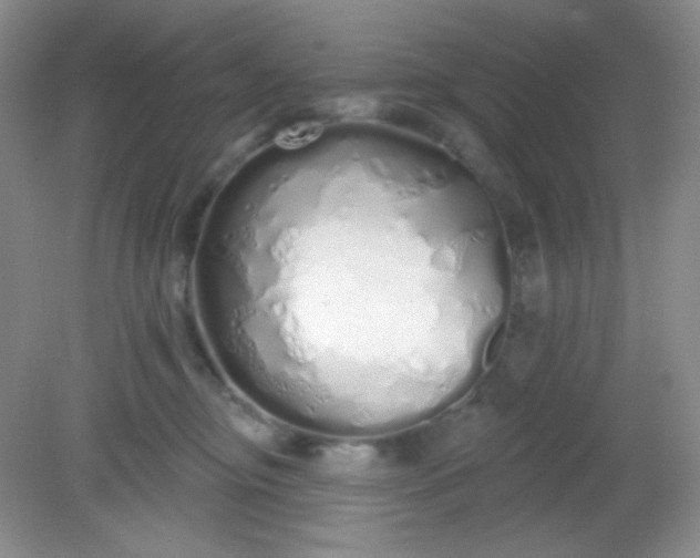 X0000081600374200701291407