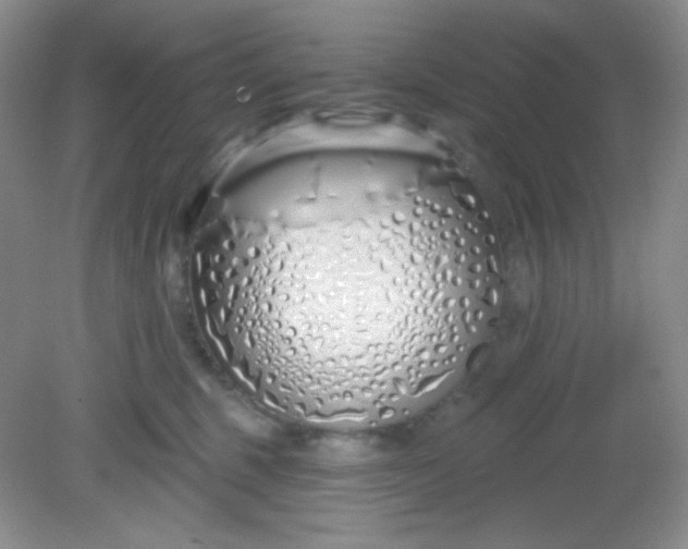 X0000081600375200701291407