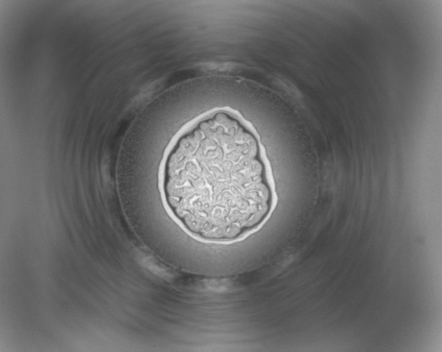 X0000081600377200701291407