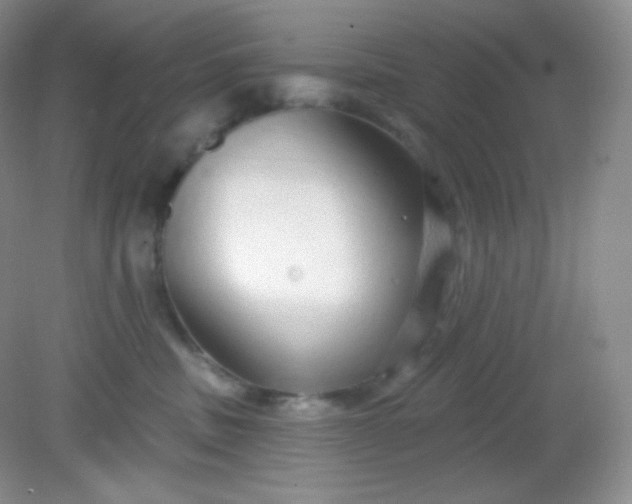 X0000081600379200701291407