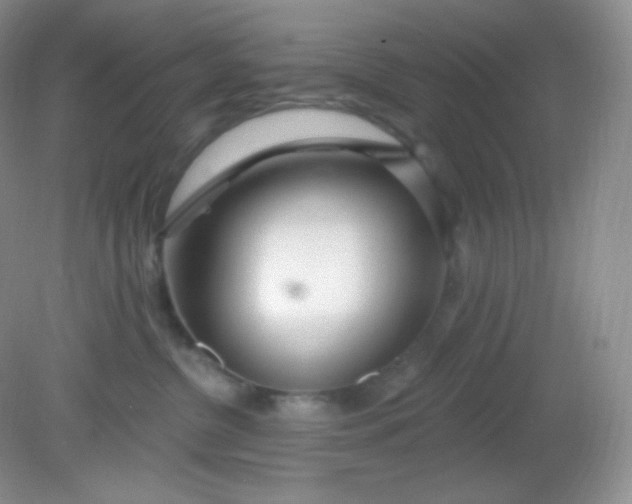 X0000081600380200701291407