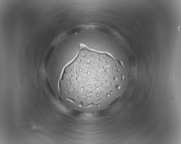 X0000081600381200701291407