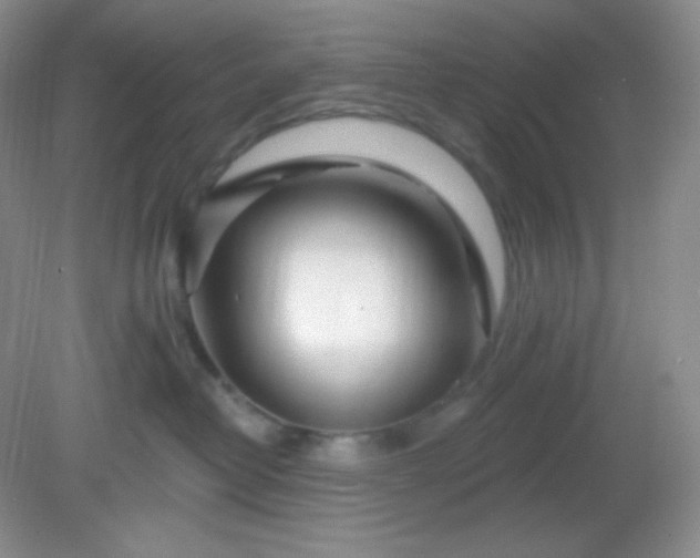 X0000081600382200701291407