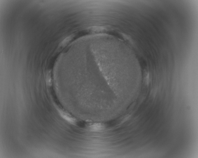 X0000081600383200701291407