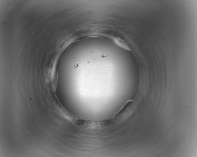 X0000081600384200701291408