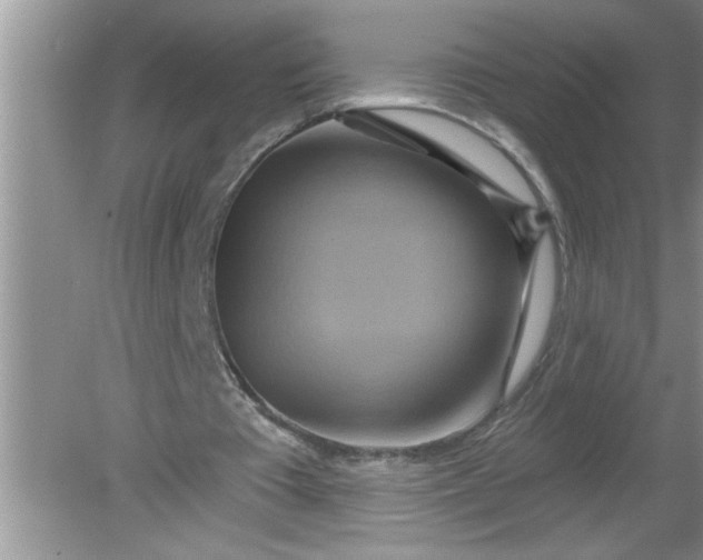 X0000081600385200701291407