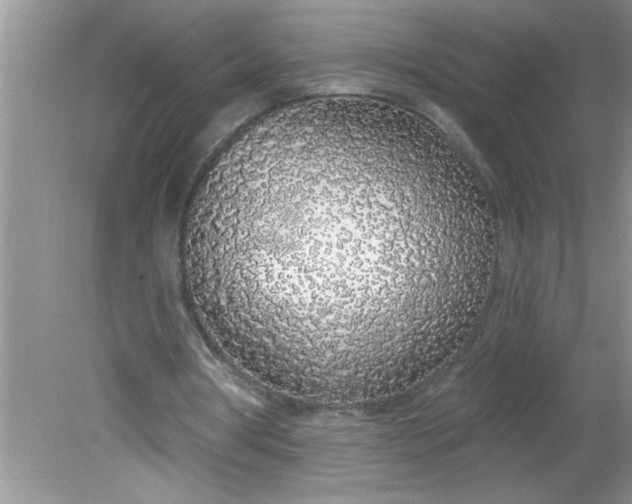 X0000081600386200701291407