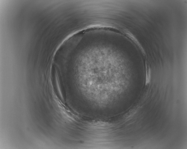 X0000081600387200701291407