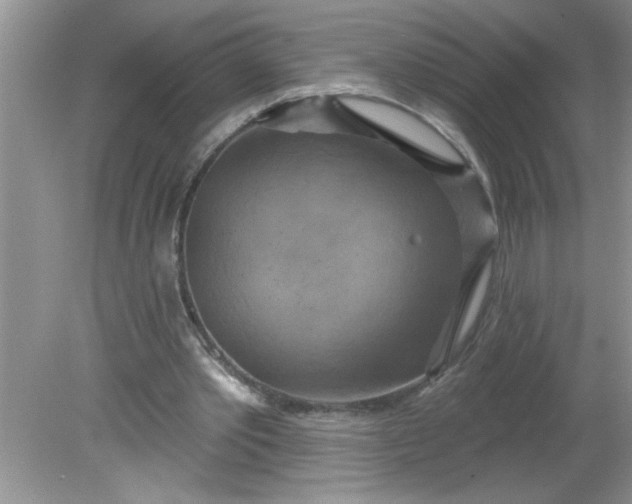 X0000081600389200701291407