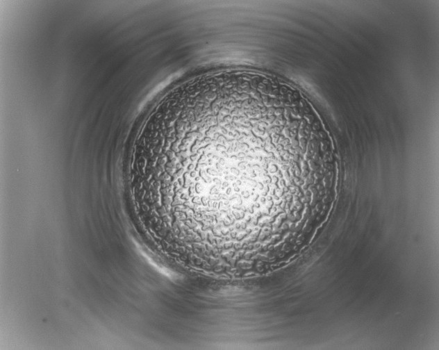 X0000081600390200701291407