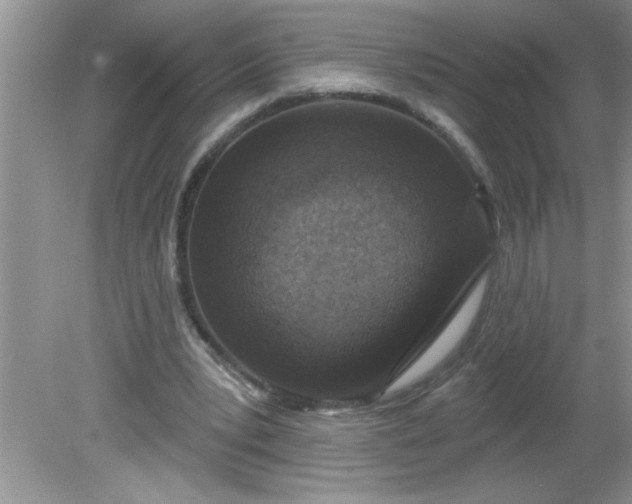 X0000081600391200701291407