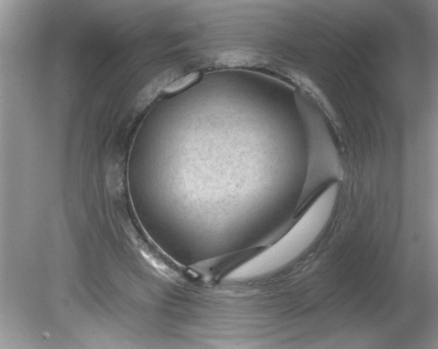 X0000081600393200701291407