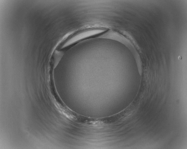 X0000081600395200701291407