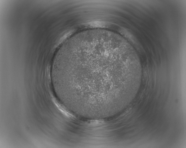 X0000081600398200701291406