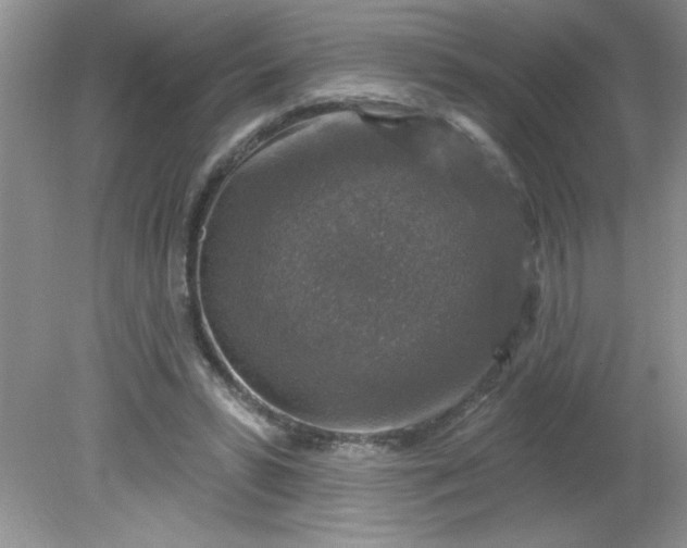 X0000081600399200701291406