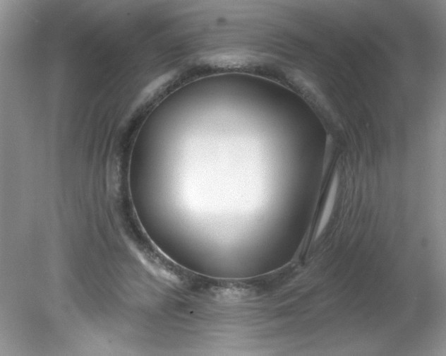 X0000081600400200701291406