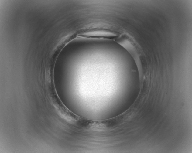 X0000081600403200701291406