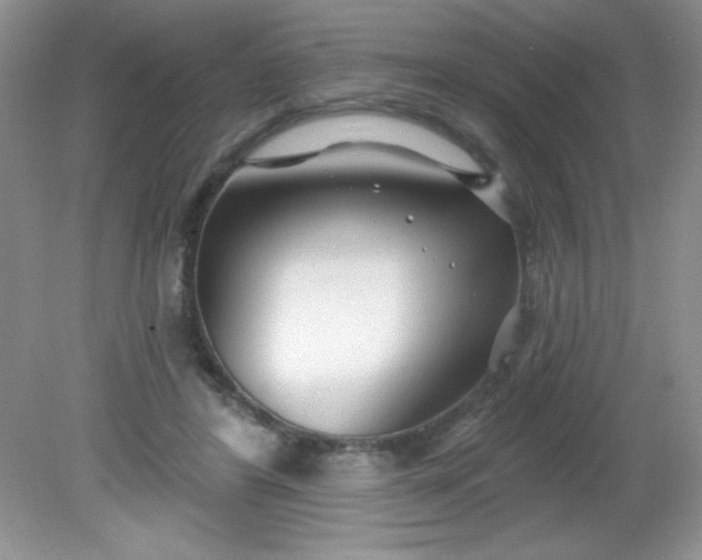 X0000081600404200701291406