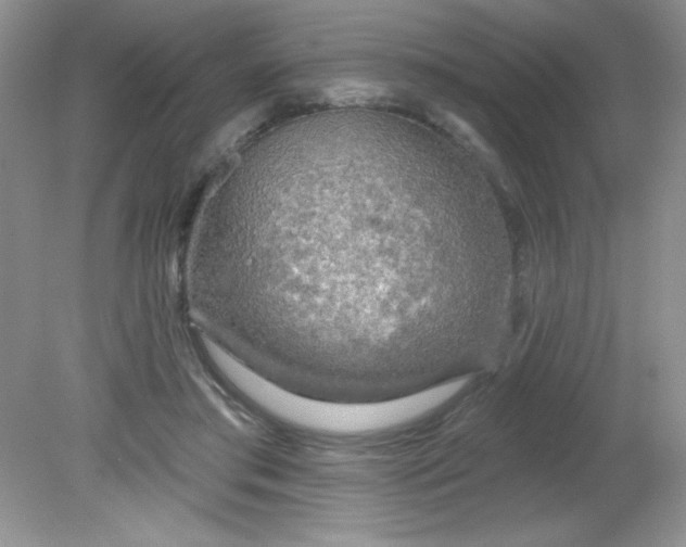 X0000081600405200701291406