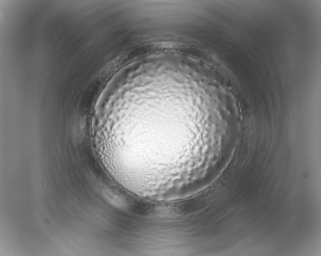 X0000081600406200701291406