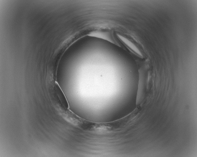 X0000081600407200701291406