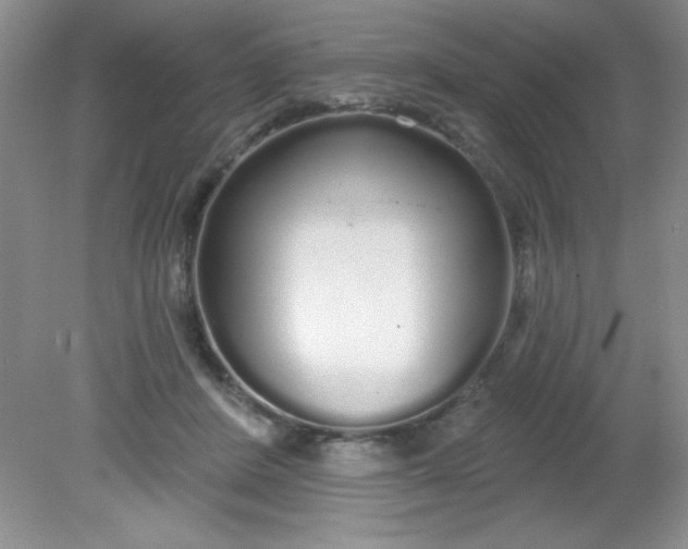 X0000081600408200701291406