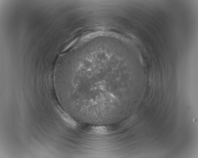 X0000081600409200701291406