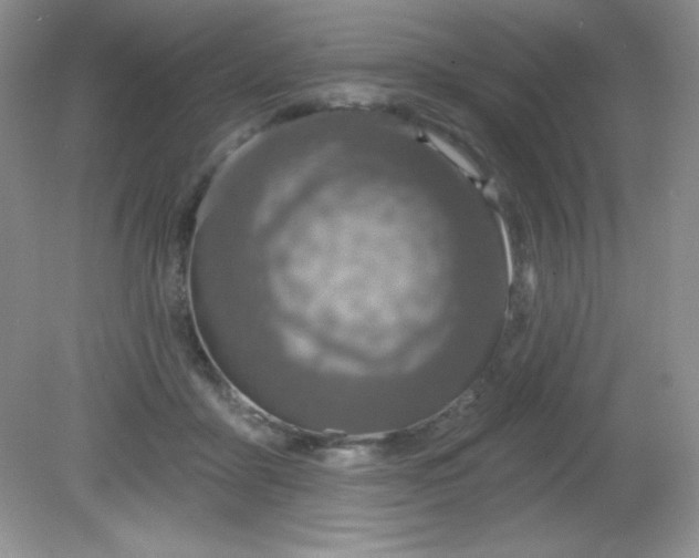 X0000081600411200701291406